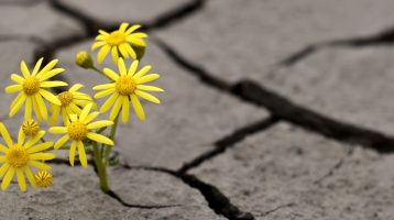 isen crisis guide international spiritual emergence network isen